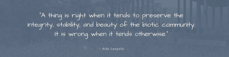 Aldo Leopold quote